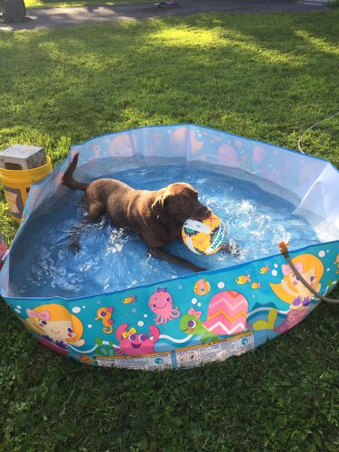 IMG_6232.JPG IMG_6232.JPG