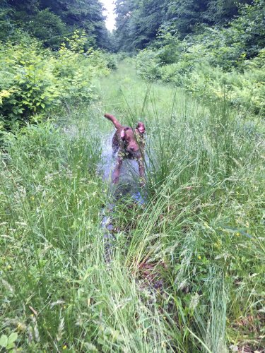 IMG_5922.JPG IMG_5922.JPG