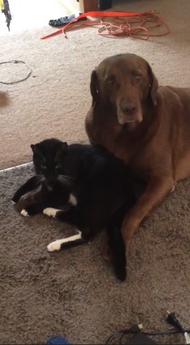 IMG_6036.jpg IMG_6036.jpg