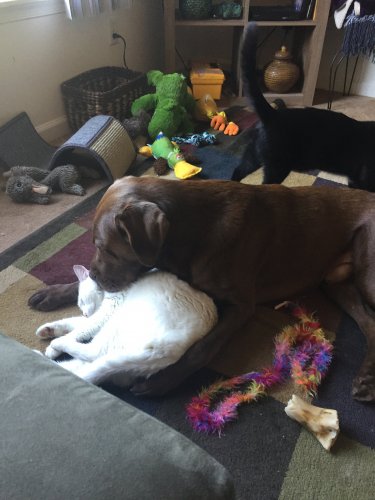 IMG_6023.JPG IMG_6023.JPG