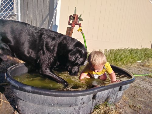 0418191759_HDR.jpg 0418191759_HDR.jpg