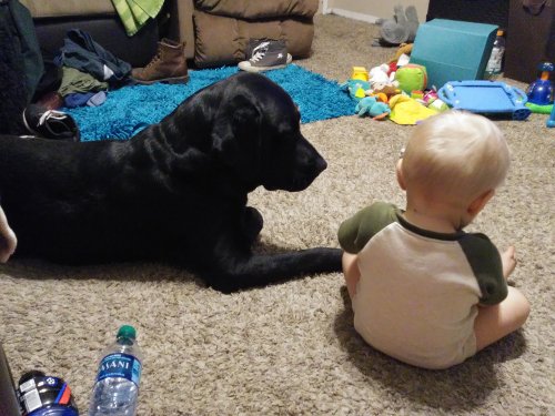 0730182023_Burst01.jpg 0730182023_Burst01.jpg