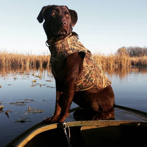 Cheyenne.jpg Cheyenne.jpg