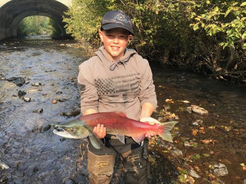 1567142672873.jpeg 1567142672873.jpeg
