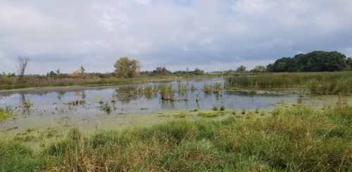 20190902_101857.jpg