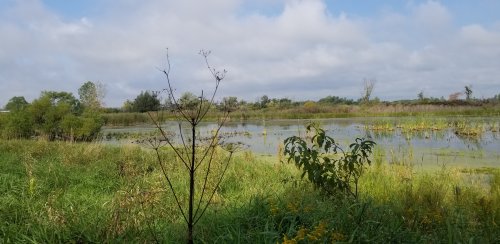 20190902_104031.jpg