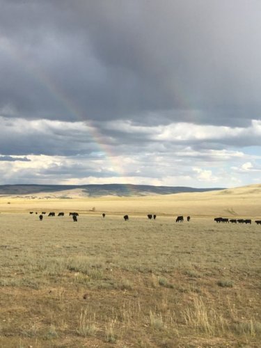 rainbow.jpg rainbow.jpg