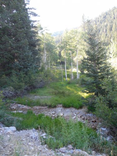 DSCN0909.JPG