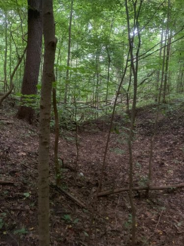 Ravine.jpg Ravine.jpg