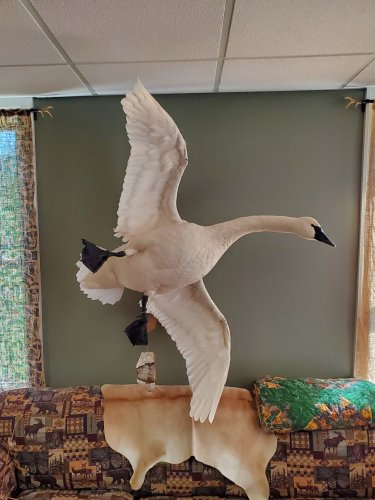 20190912_205225.jpg