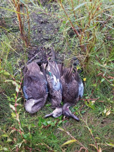 20190914 3 BWT one shot.jpg