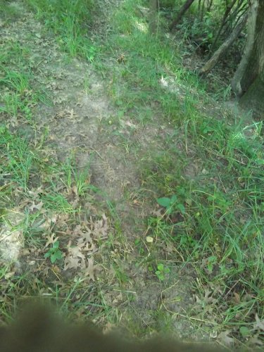 0713191527.jpg 0713191527.jpg