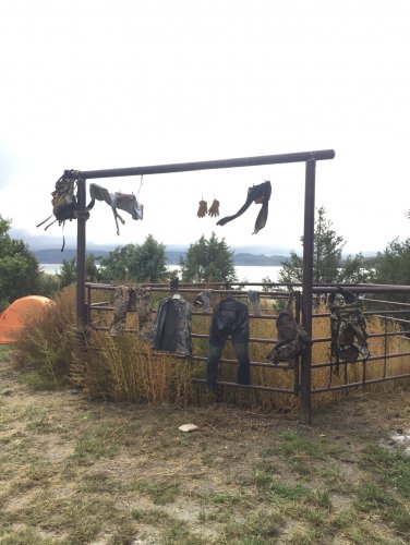 DC5356BF-4067-467C-A472-13D2BC30CE94.jpeg DC5356BF-4067-467C-A472-13D2BC30CE94.jpeg