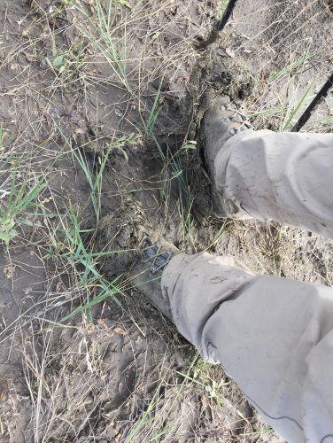 01F97192-F563-498A-8901-119A3EF60D5F.jpeg 01F97192-F563-498A-8901-119A3EF60D5F.jpeg