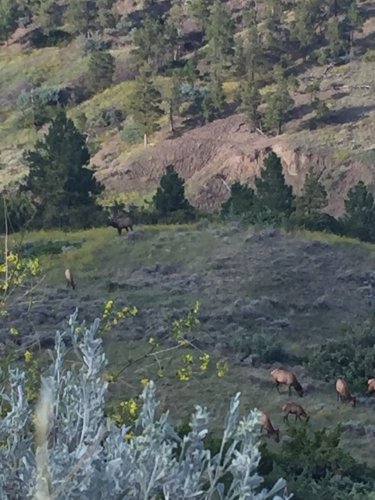 46EA42B6-5A2E-424B-B6FC-03C5DAC31962.jpeg 46EA42B6-5A2E-424B-B6FC-03C5DAC31962.jpeg