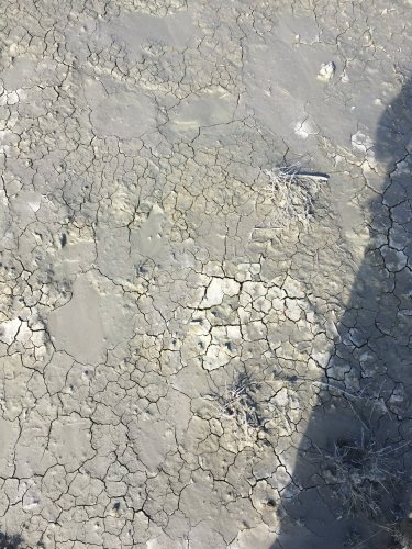 FC6924B4-E0E1-4BE9-8A40-C02E7C63600C.jpeg FC6924B4-E0E1-4BE9-8A40-C02E7C63600C.jpeg