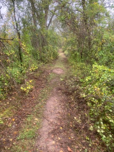 Trail.jpg Trail.jpg