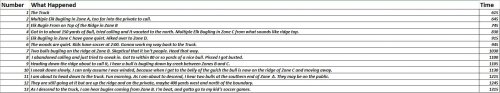 BusyDayChart.JPG BusyDayChart.JPG