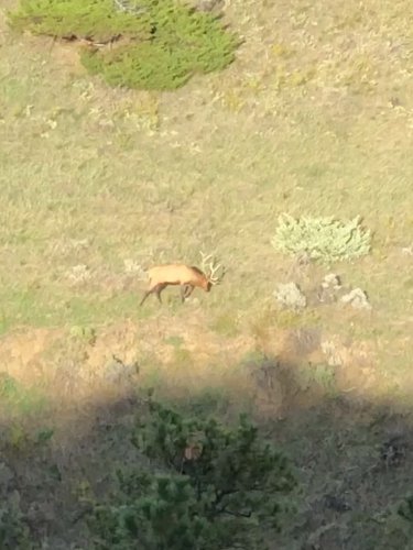 F178A3C4-1329-4DEE-AB2B-3DD1C631EC25.jpeg F178A3C4-1329-4DEE-AB2B-3DD1C631EC25.jpeg