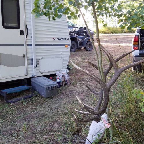 elk camp.jpg elk camp.jpg