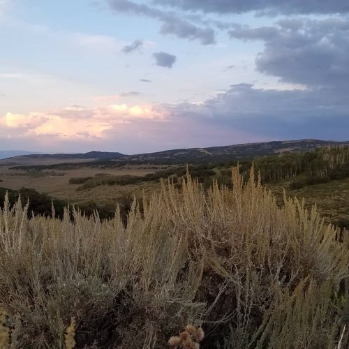 scenery.jpg scenery.jpg