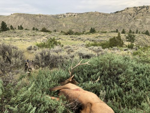 B9357647-59F9-4FEC-A815-97AD186FD268.jpeg B9357647-59F9-4FEC-A815-97AD186FD268.jpeg