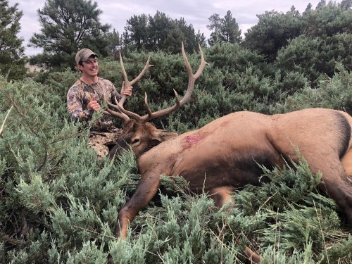 47E9F67A-36A1-4DD0-B470-CDAD9723DD78.jpeg 47E9F67A-36A1-4DD0-B470-CDAD9723DD78.jpeg