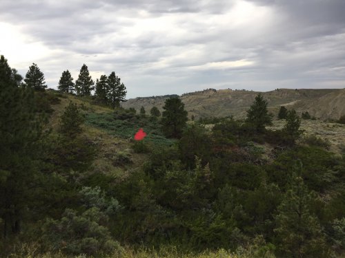 BFC8EE88-EAAB-490A-9C2A-5EA9B2087A89.jpeg BFC8EE88-EAAB-490A-9C2A-5EA9B2087A89.jpeg