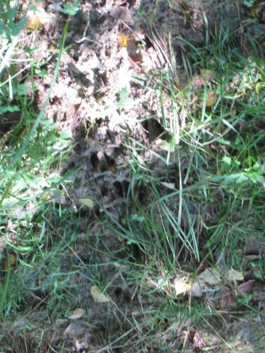 IMG_0680.JPG IMG_0680.JPG