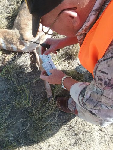 20190915_101729.jpg 20190915_101729.jpg