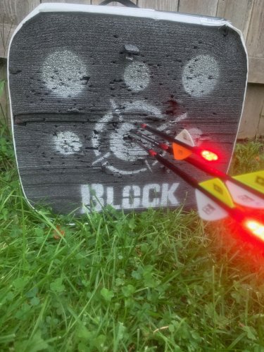 Target 30yds.jpg Target 30yds.jpg