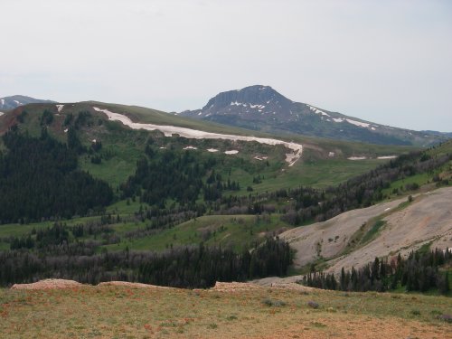 IMGP1634.JPG IMGP1634.JPG