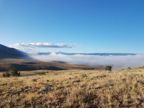 20190928_080428.jpg 20190928_080428.jpg