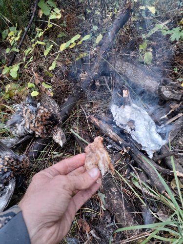20190921_122906.jpg