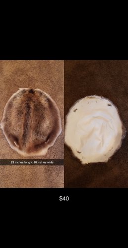 Snapchat-1985802974.jpg Snapchat-1985802974.jpg
