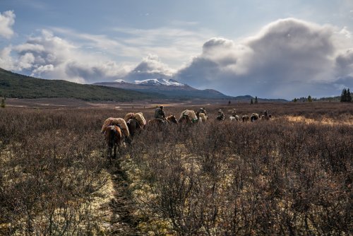 Marcus_Hockett_BC_Caribou_2019-31.jpg