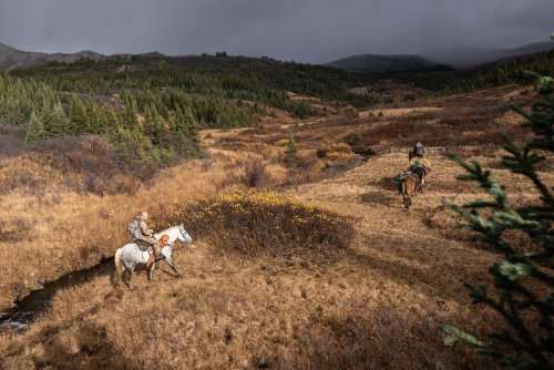 Marcus_Hockett_BC_Caribou_2019-34.jpg