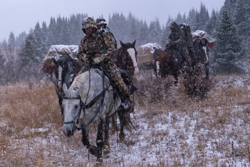 Marcus_Hockett_BC_Caribou_2019-38.jpg