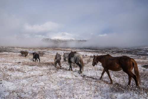 Marcus_Hockett_BC_Caribou_2019-41.jpg