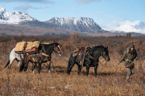 Marcus_Hockett_BC_Caribou_2019-61.jpg