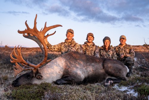 Marcus_Hockett_BC_Caribou_2019-84.jpg Marcus_Hockett_BC_Caribou_2019-84.jpg