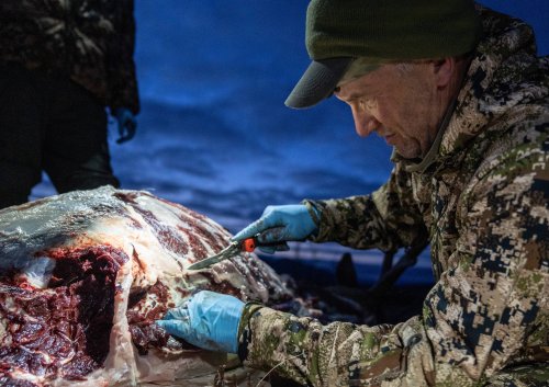 Marcus_Hockett_BC_Caribou_2019-95.jpg Marcus_Hockett_BC_Caribou_2019-95.jpg