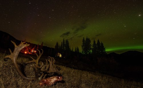Marcus_Hockett_BC_Caribou_2019-129 (1).jpg Marcus_Hockett_BC_Caribou_2019-129 (1).jpg