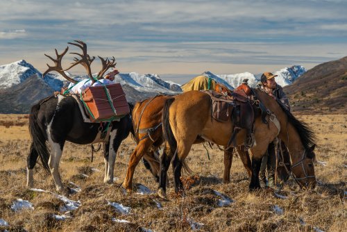 Marcus_Hockett_BC_Caribou_2019-126.jpg