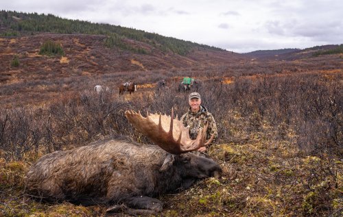 Marcus_Hockett_BC_Caribou_2019-150.jpg