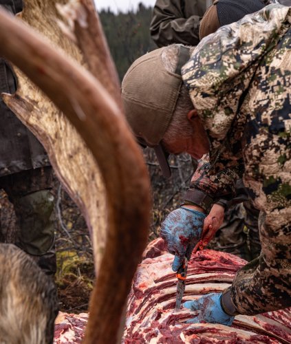 Marcus_Hockett_BC_Caribou_2019-162.jpg