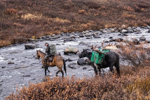 Marcus_Hockett_BC_Caribou_2019-168.jpg