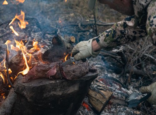 Marcus_Hockett_BC_Caribou_2019-207.jpg