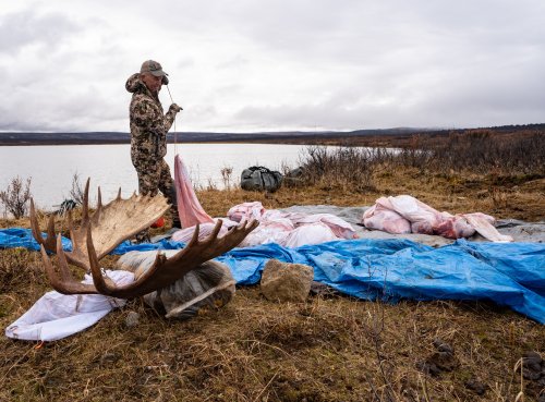 Marcus_Hockett_BC_Caribou_2019-230.jpg