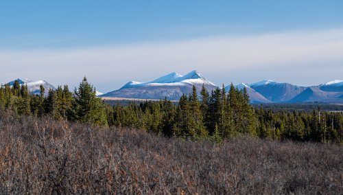 Marcus_Hockett_BC_Caribou_2019-266.jpg